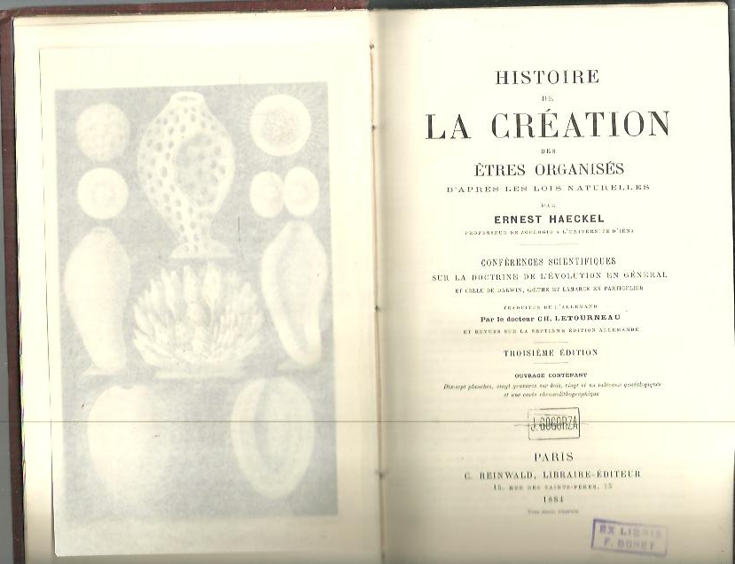 HISTOIRE DE LA CREATION DES �TRES ORGANISES D'APRES LES LOIS NATURELLES. CONFERENCES SCIENTIFIQUES SUR LA DOCTRINE DE L'EVOLUTION EN GENERAL ET CELLE DE DARWIN, GOETHE ET LAMARCK EN PARTICULIER.
