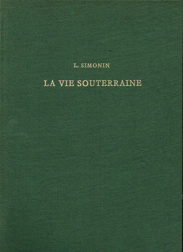 LA VIE SOUTERRAINE OU LES MINES ET LES MINEURS.
